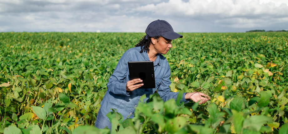 An agricultural worker in Brazil