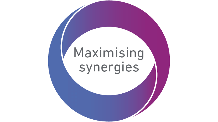 Maximising synergies